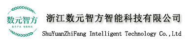 浙江数元智方智能科技有限公司